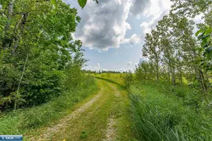 10705 Hwy 65, Gheen, MN 55771 - Photo 46