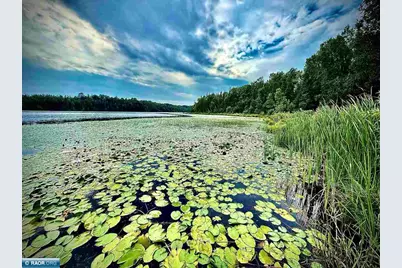 36524 Big McCarthy Lake Rd, Nashwauk, MN 55769 - Photo 36
