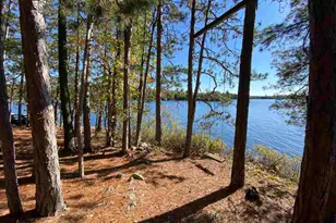 8481 Wakemup Narrows N, Cook, MN 55723 - Photo 14