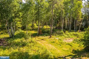 3420 Dewees Rd, Babbitt, MN 55706 - Photo 36