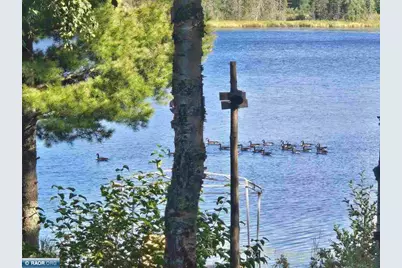 3420 Dewees Rd, Babbitt, MN 55706 - Photo 8