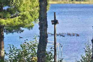 3420 Dewees Rd, Babbitt, MN 55706 - Photo 8