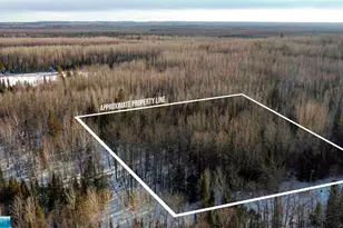 Tbd Parcel S Thomas Rd, Tower, MN 55790 - Photo 1
