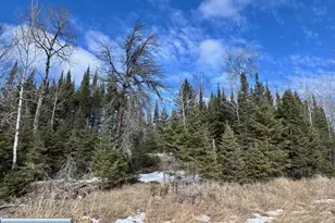 6679 Wahlsten Rd, Tower, MN 55790 - Photo 1