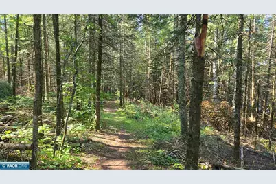 Tbd33 Donovan Point, Orr, MN 55771 - Photo 40