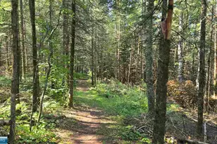 Tbd33 Donovan Point, Orr, MN 55771 - Photo 40