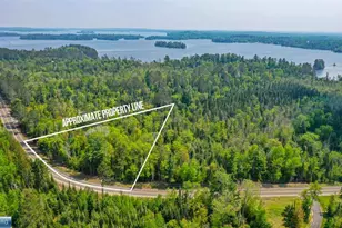 Tbd Parcel A Vermilion Dr, Cook, MN 55723 - Photo 1