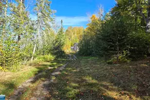 4251 Sugar Point Island, Orr, MN 55771 - Photo 18