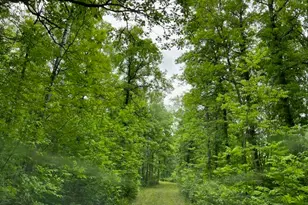 Tbd Cemetery Rd, Orr, MN 55771 - Photo 1