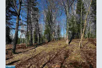417 Barrell Road, Ely, MN 55731 - Photo 12