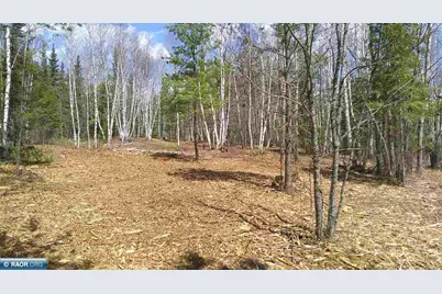 Tbd Parcel I Frazer Bay Rd., Cook, MN 55723 - Photo 2