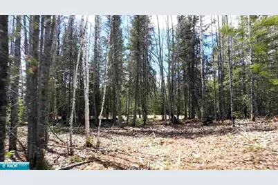 Tbd Parcel I Frazer Bay Rd., Cook, MN 55723 - Photo 4