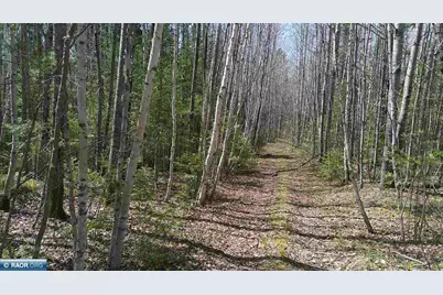 Tbd Parcel Y Frazer Bay Rd., Cook, MN 55723 - Photo 2