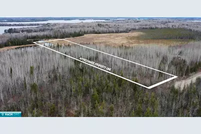 Tbd Parcel 14 Hwy 115, Tower, MN 55790 - Photo 1