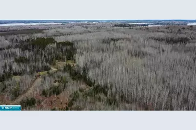 Tbd Parcel 20 Hwy 115, Tower, MN 55790 - Photo 4