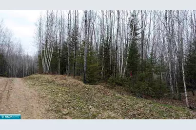 Tbd Parcel 20 Hwy 115, Tower, MN 55790 - Photo 2