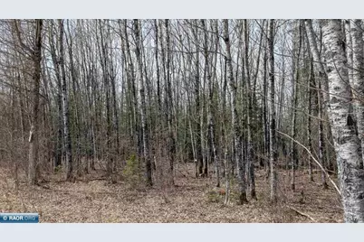 Lot 3 Lund Road, Cook, MN 55732 - Photo 8