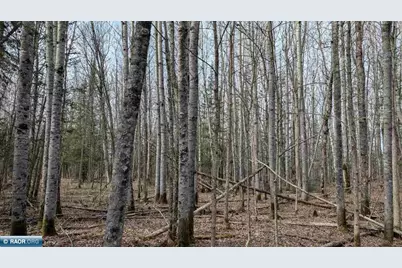 Lot 9 Lund Road, Cook, MN 55732 - Photo 2