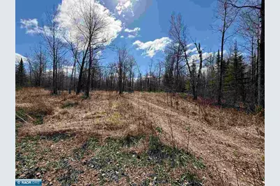 3120 Hwy 73, Hibbing, MN 55746 - Photo 8