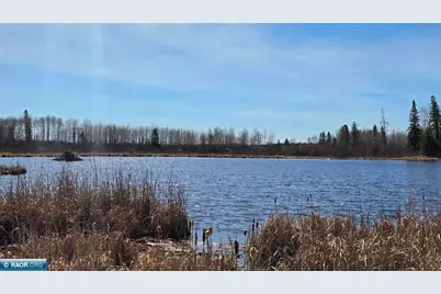 Tbd 43 Lummi Rd, Orr, MN 55771 - Photo 4