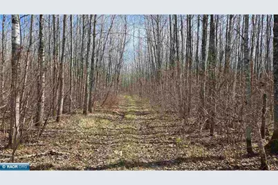 Tbd 43 Lummi Rd, Orr, MN 55771 - Photo 24