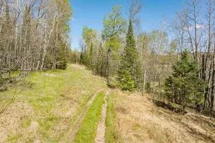 27162 Co Rd 16, Hibbing, MN 55746 - Photo 46