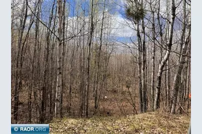 3333 Randa Road, Buyck, MN 55771 - Photo 20