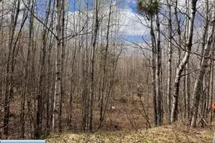 3333 Randa Rd, Buyck, MN 55771 - Photo 20