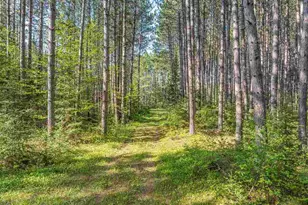 7139 Jola, Eveleth, MN 55734 - Photo 10