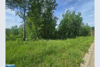 103 Stubler Drive, Buhl, MN 55713 - Photo 2