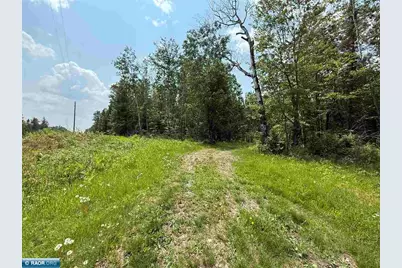 Tbd Samuelson Road-Sec22, Angora, MN 55703 - Photo 1