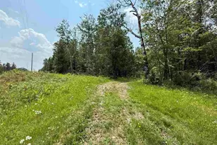 Tbd Samuelson Road-Sec22, Angora, MN 55703 - Photo 1