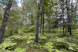 2647 Billings Rd, Hibbing, MN 55746 - Photo 28
