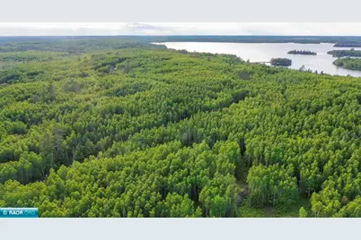 Tbd Parcel X Frazer Bay Rd., Cook, MN 55723 - Photo 12