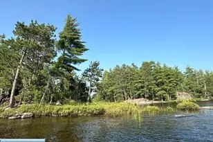 2763 Van Vac Rd, Ely, MN 55731 - Photo 4