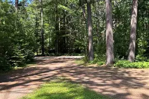 1746 Janet Park Dr, Hibbing, MN 55746 - Photo 44