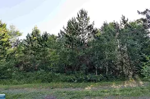 Lot B Hwy 24, Orr, MN 55771 - Photo 1