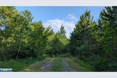 Lot B Hwy. 24, Orr, MN 55771 - Photo 10