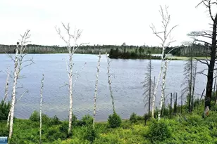 2377 N McDougal Ln, Isabella, MN 55607 - Photo 1
