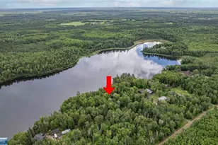 4144 McSweeney Rd, Mt. Iron, MN 55768 - Photo 32