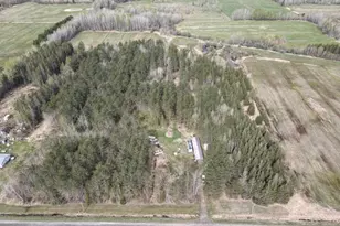 3805 Fraser Rd, Iron, MN 55751 - Photo 8