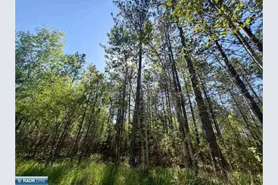 3805 Fraser Rd., Iron, MN 55751 - Photo 24