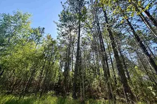 3805 Fraser Rd, Iron, MN 55751 - Photo 24