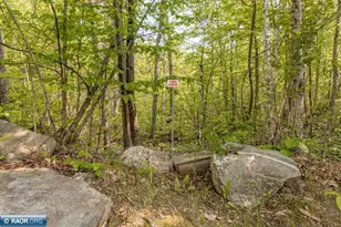 7481 Stone Ridge Shores, Orr, MN 55771 - Photo 44