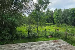 8542 Ralph Rd, Angora, MN 55703 - Photo 6