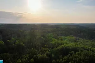 6991 Crane Lake Rd, Crane Lake, MN 55725 - Photo 28