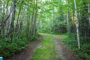 6991 Crane Lake Rd, Crane Lake, MN 55725 - Photo 26