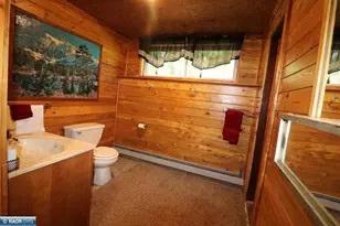 4838 Palo Rd 41, Aurora, MN 55705 - Photo 38