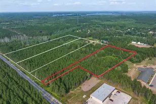 Tract D Hwy 21, Babbitt, MN 55706 - Photo 1