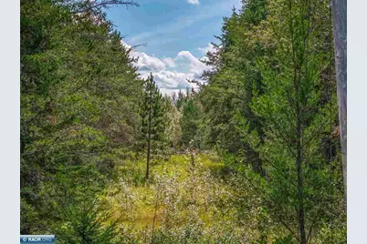 Tract C Hwy 21, Babbitt, MN 55706 - Photo 2